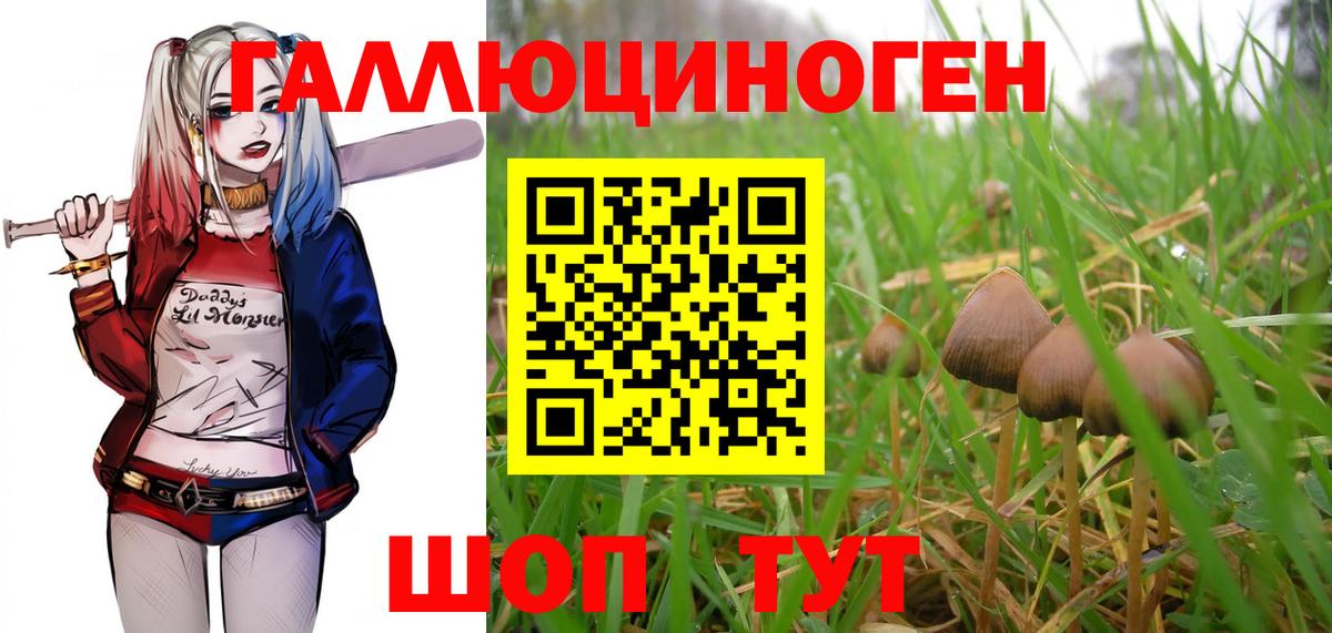 Кирово-Чепецк  Галлюциногенные грибы MAGIC MUSHROOMS  магазин  наркотиков  Вход с VPN 